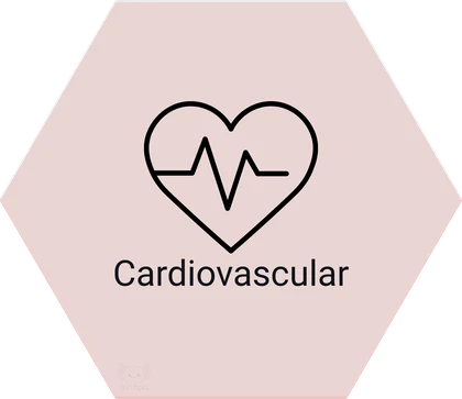 Cardiovascular